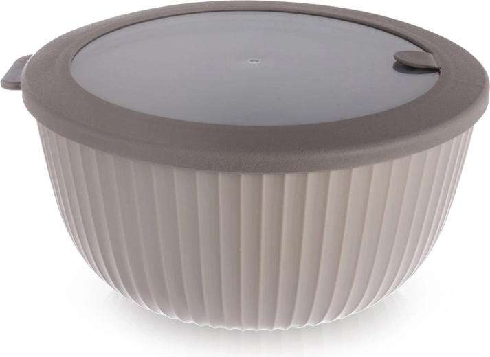 Bol de cuisine avec couvercle 21 cm, 2,5 l