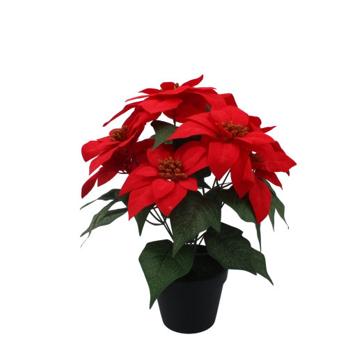Synthetic Christmas star in a black flowerpot 35 cm