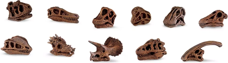 Safari Ltd. dinosaur skulls – mini replica set