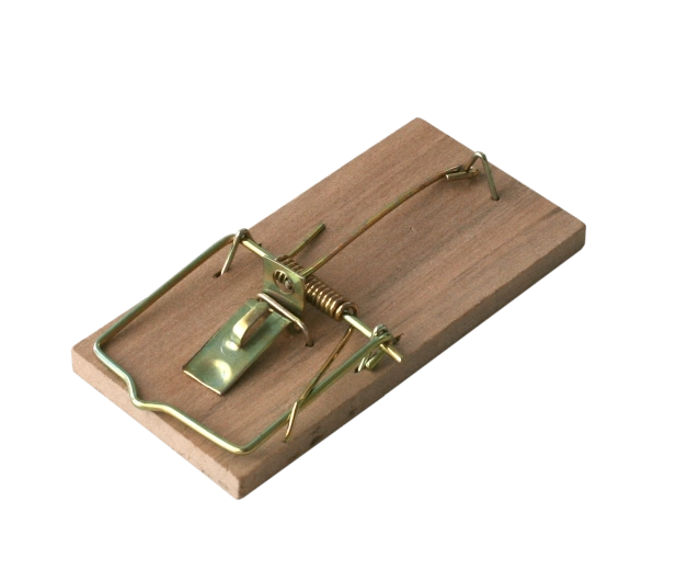 Piège à souris en bois BROS, 2 pcs