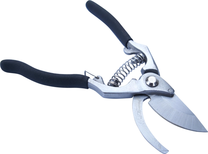 Tuinfruit-schaar 216 mm