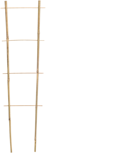 Bamboe steun voor klimplanten 75 × 35 cm, diameter 10/12 mm