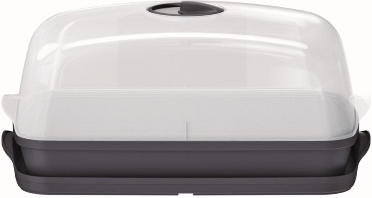 Mini-serre de table Respana 39,1 cm – anthracite