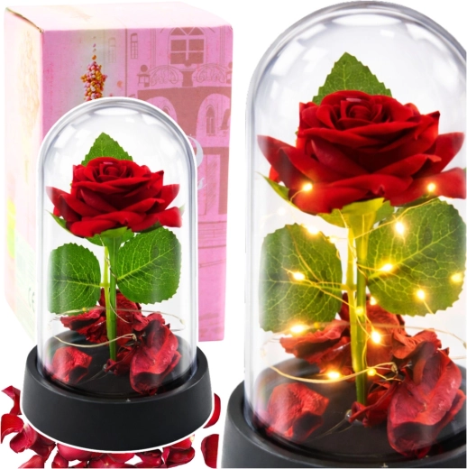 Ewige rote Rose unter einer Glaskuppel mit LED-Beleuchtung