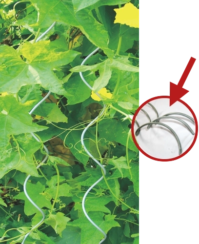 Aluminum Spiral Plant Stake 10 mm, 180 cm