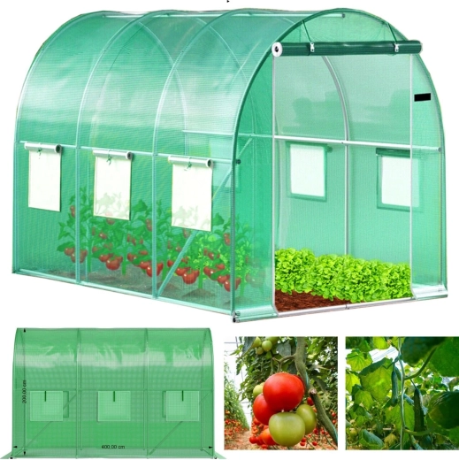 Serre tunnel de jardin 4 × 2,5 × 2 m, 10 m², structure métallique et bâche résistante aux UV