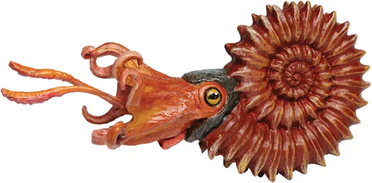 Safari Ltd. ammonite – hand-painted figurine