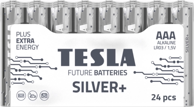 Alkaline Batteries Tesla Silver+ LR03 24 pcs