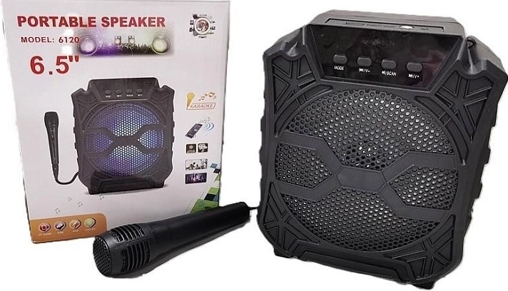 Karaoke speaker with microphone