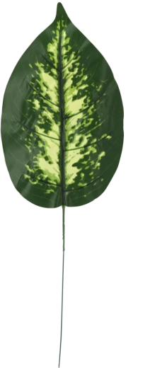 Lot de brindilles artificielles de dieffenbachia, 12 pièces