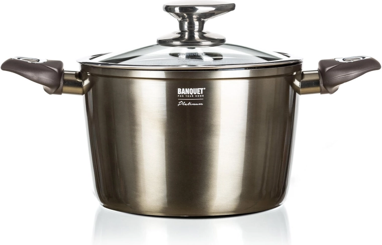Pot 20 cm 3.6 l with non-stick surface METALLIC PLATINUM with glass lid