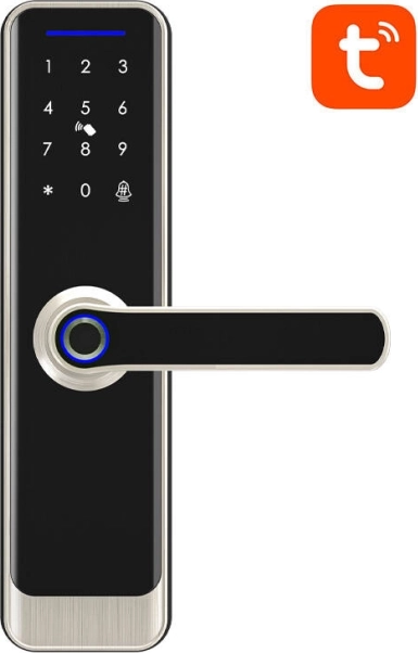 Smart digital lock Avatto with Wi‑Fi (silver)