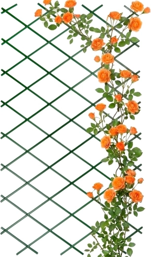 Green expandable trellis for climbing plants 200 × 100 cm