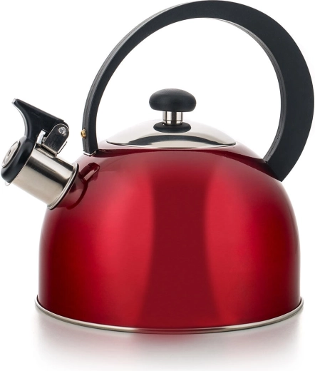 RVS theeketel EVORA 2 l met fluit