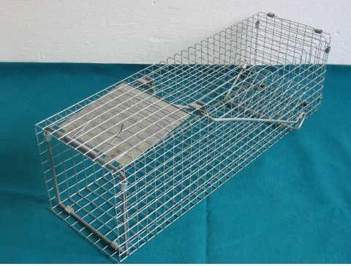 Capture cage made of galvanized steel 140 × 140 × 480 mm