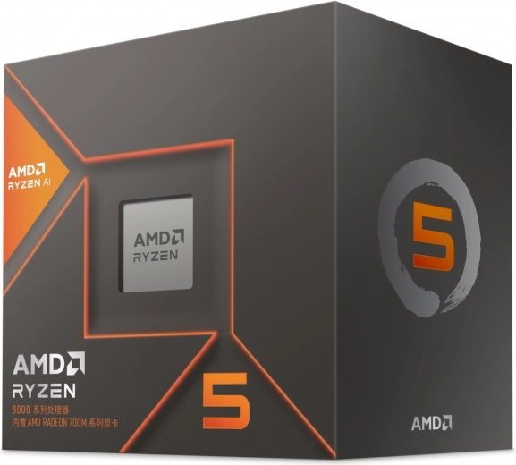 AMD Ryzen 5 8600G processor