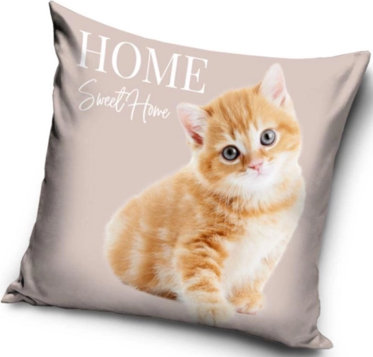 Kitten cushion cover 40 × 40 cm