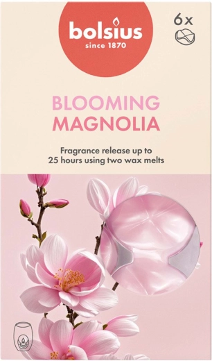 Magnolia Scented Wax, Set of 6