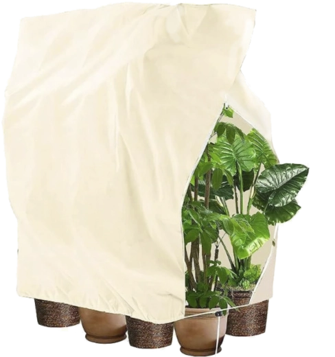Protective winter plant cover with drawstring 2 × 2.4 m, 80 g, beige