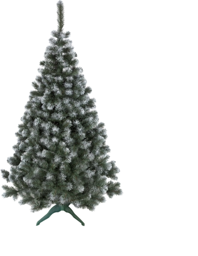 Fir Tree Jodła Alfa 1.5 m - 1 piece