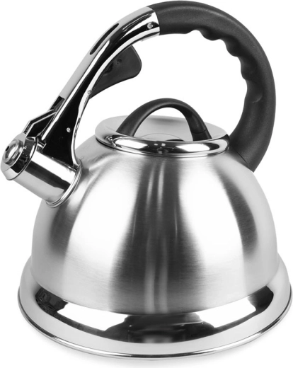 Bouilloire en acier inoxydable 2,8 L Maestro