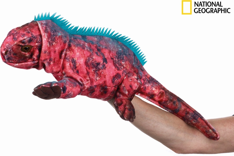 National Geographic handpop leguaan 23 cm