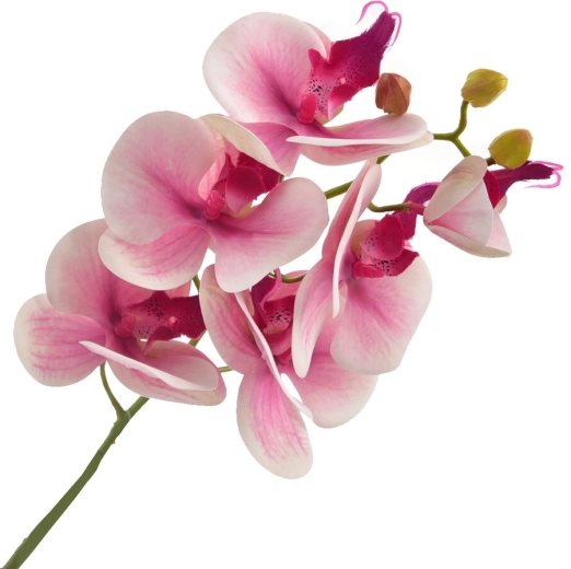 Artificial Pink Orchid 72 cm