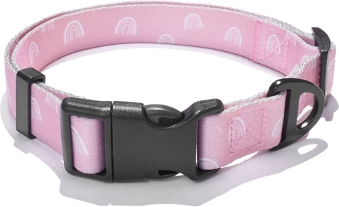 Explorer Dog Collar Rainbow L (41–66 × 2.5 cm)