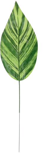 Set mit 12 künstlichen grünen Zweigen 48 × 12 cm