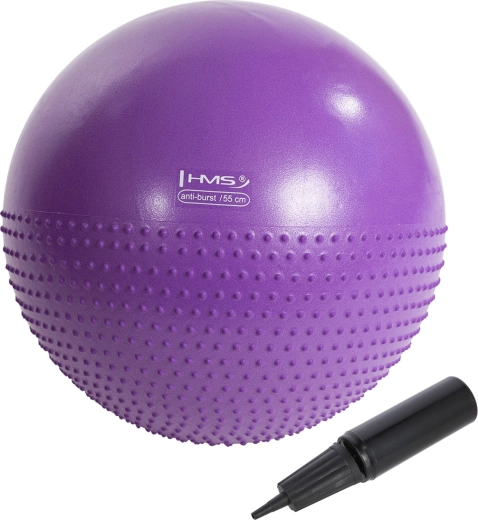 Ballon de gymnastique massant HMS YB03N 55 cm violet