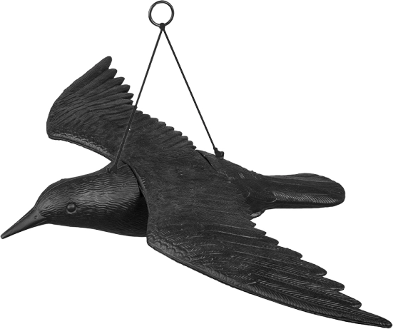 hangende vogelverschrikker kraai