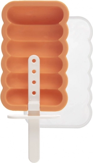 Moule à esquimaux en silicone avec couvercle