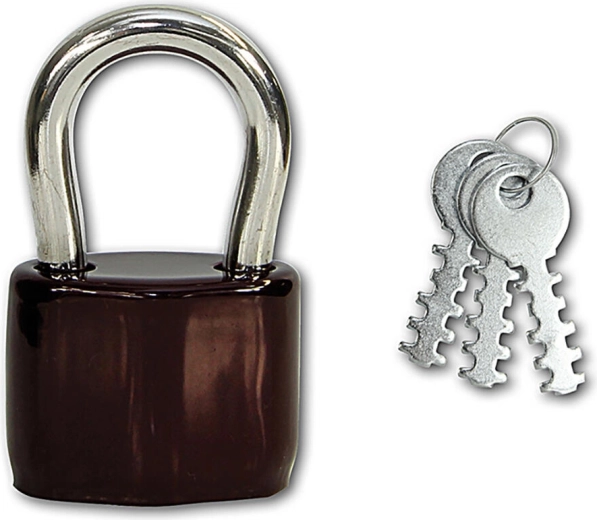 Padlock with removable shackle, 3 keys, steel