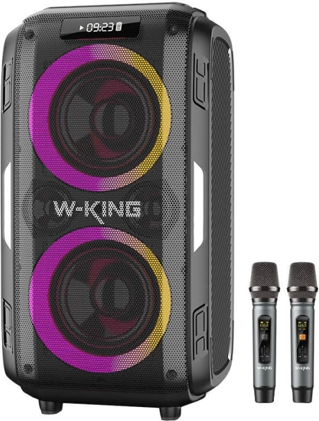 Kabelloser Lautsprecher W-KING T9 Pro mit 120 W Leistung und 2 Mikrofonen – schwarz