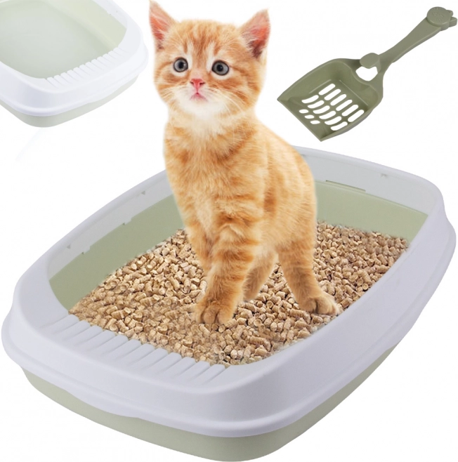 Open cat litter box with rim and scoop, large, green