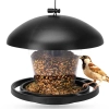 Vogels