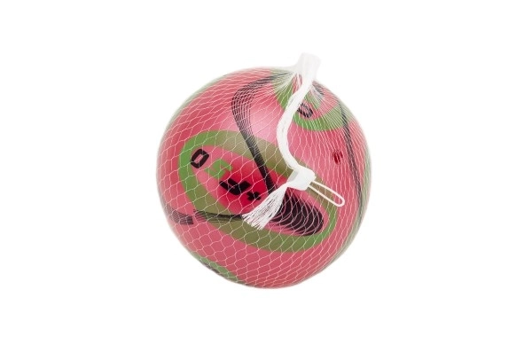 Kleurige opgeblazen plastic bal 15 cm in netje