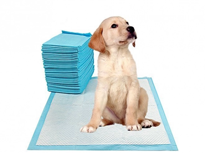 Vlonder voor honden die leren plassen 45x60 50 stuks