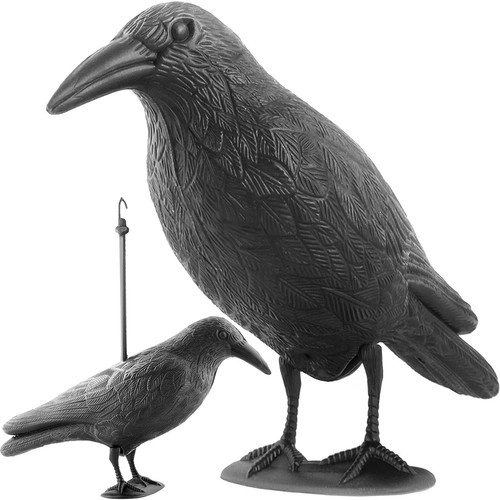 Vogelverschrikker - raaf