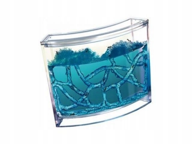 Aquarium éducatif en gel pour fourmis