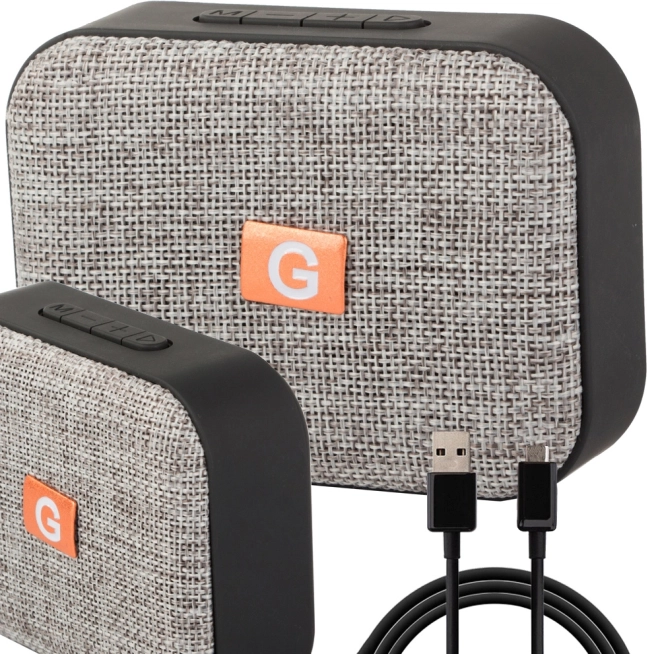 Bluetooth mini speaker with FM radio, USB and microSD – Gray