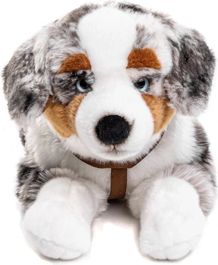 Harness for extra fun