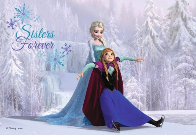 Puzzel 2x24 stukken Frozen Zusters voor Altijd