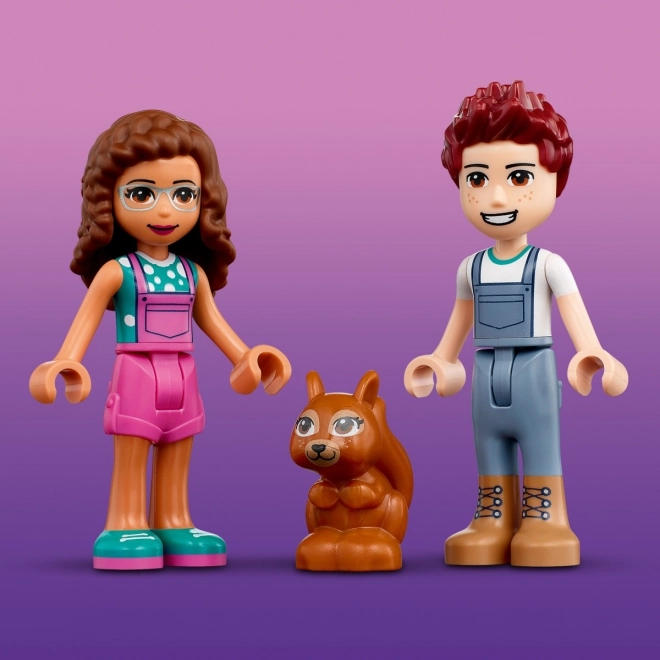 Boomplanten Auto LEGO Friends