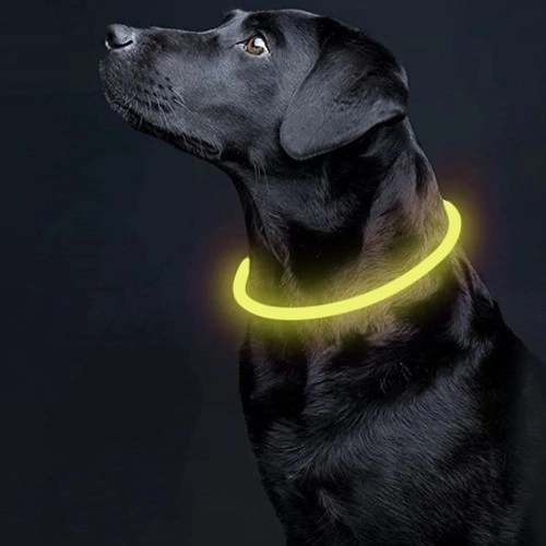 LED-Leuchthalsband für Haustiere mit USB-Ladung und Längenverstellung