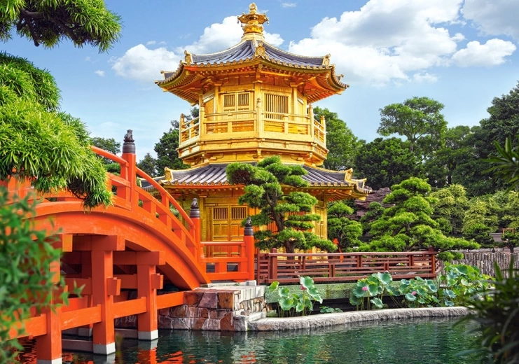 Beautiful China stunning motif