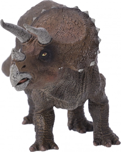 Perfekt für alle Altersgruppen