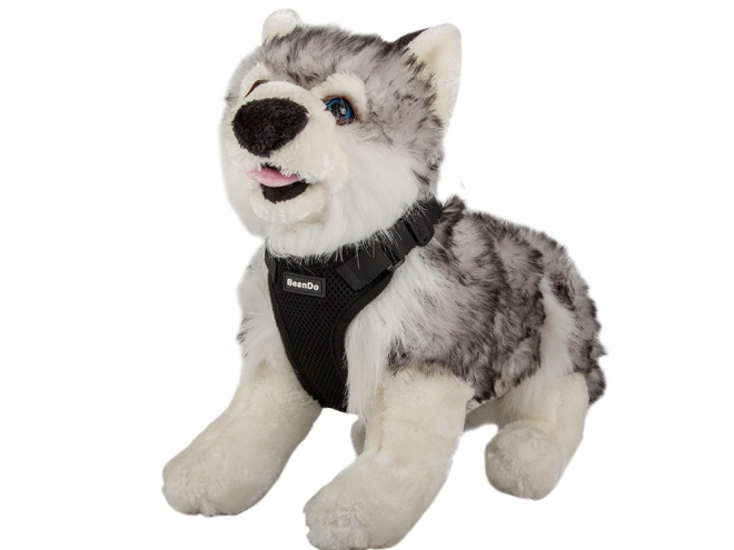 Harnais pour chiens sans pression XL – noir