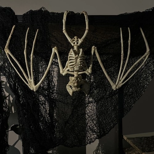 Squelette de chauve-souris - décoration 30 cm Malatec