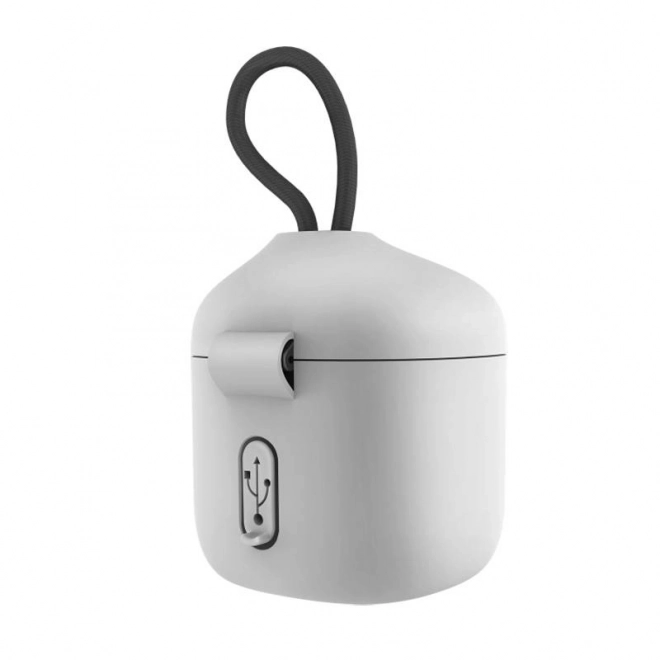 Wasserdichtes Ladegerät Telesin Allin Box für GoPro Hero 9 / Hero 10 + 3 Batterien